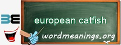 WordMeaning blackboard for european catfish